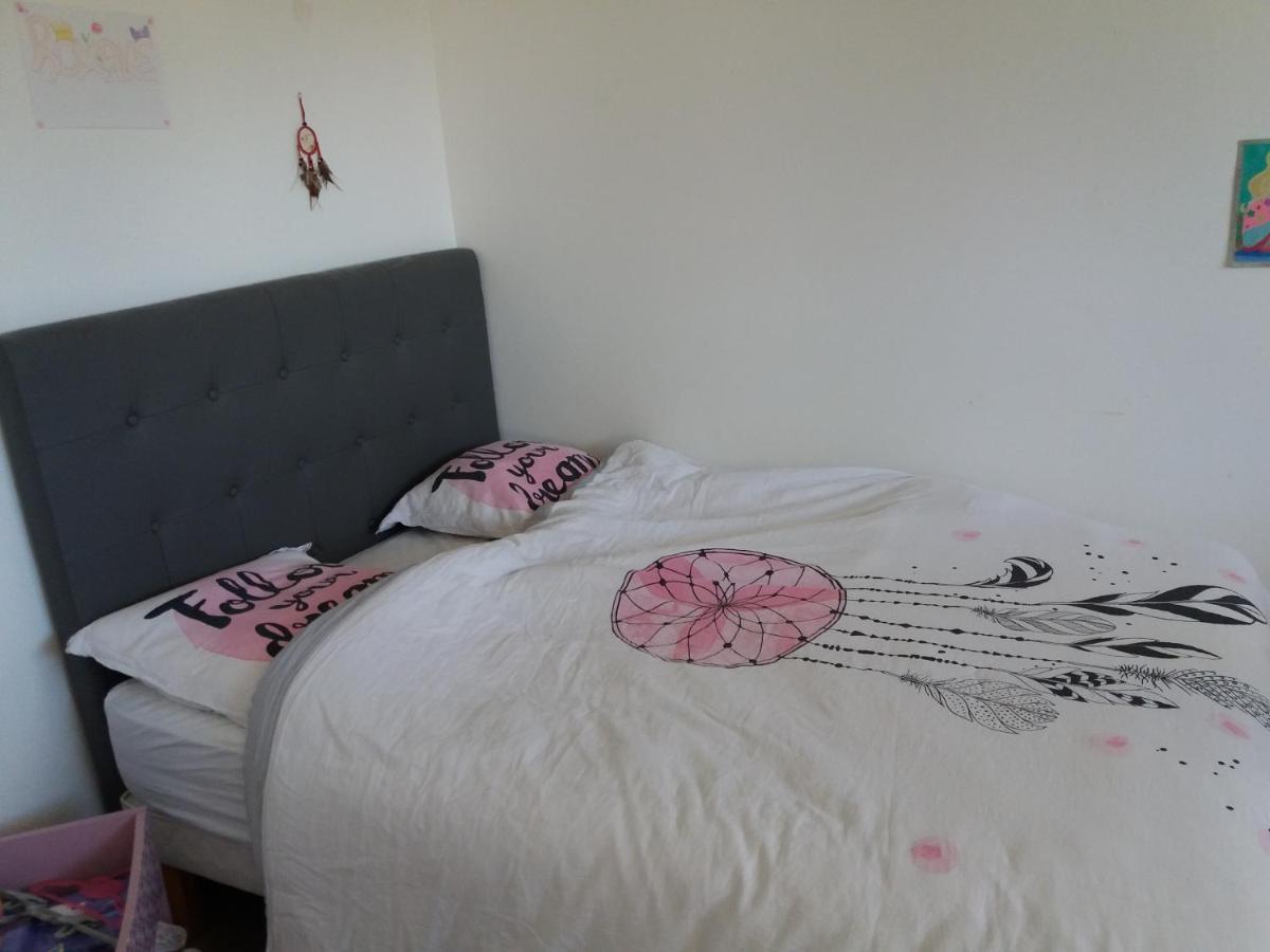 Chambres, Cuisine, Piscine, Spa, Billards, Airhockey, Nature Fillinges Exterior photo